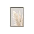 Picture of Creamy Petal Pampas I _GroupedProduct_Rectangle_Portrait_Photography _GroupedProduct_Rectangle_Portrait_Canvas_Framed_