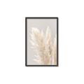 Picture of Creamy Petal Pampas I _GroupedProduct_Rectangle_Portrait_Photography _GroupedProduct_Rectangle_Portrait_Canvas_Framed_