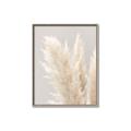 Picture of Creamy Petal Pampas I _GroupedProduct_Rectangle_Portrait_Photography _GroupedProduct_Rectangle_Portrait_Canvas_Framed_