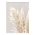 Picture of Creamy Petal Pampas I _GroupedProduct_Rectangle_Portrait_Photography _GroupedProduct_Rectangle_Portrait_Canvas_Framed_