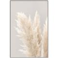 Picture of Creamy Petal Pampas I _GroupedProduct_Rectangle_Portrait_Photography _GroupedProduct_Rectangle_Portrait_Canvas_Framed_