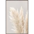 Picture of Creamy Petal Pampas I _GroupedProduct_Rectangle_Portrait_Photography _GroupedProduct_Rectangle_Portrait_Canvas_Framed_