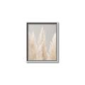 Picture of Creamy Petal Pampas II _GroupedProduct_Rectangle_Portrait_Photography _GroupedProduct_Rectangle_Portrait_Canvas_Framed_