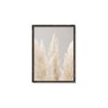 Picture of Creamy Petal Pampas II _GroupedProduct_Rectangle_Portrait_Photography _GroupedProduct_Rectangle_Portrait_Canvas_Framed_