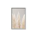 Picture of Creamy Petal Pampas II _GroupedProduct_Rectangle_Portrait_Photography _GroupedProduct_Rectangle_Portrait_Canvas_Framed_
