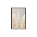 Picture of Creamy Petal Pampas II _GroupedProduct_Rectangle_Portrait_Photography _GroupedProduct_Rectangle_Portrait_Canvas_Framed_