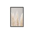 Picture of Creamy Petal Pampas II _GroupedProduct_Rectangle_Portrait_Photography _GroupedProduct_Rectangle_Portrait_Canvas_Framed_