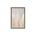 Picture of Creamy Petal Pampas II _GroupedProduct_Rectangle_Portrait_Photography _GroupedProduct_Rectangle_Portrait_Canvas_Framed_