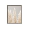 Picture of Creamy Petal Pampas II _GroupedProduct_Rectangle_Portrait_Photography _GroupedProduct_Rectangle_Portrait_Canvas_Framed_