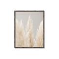Picture of Creamy Petal Pampas II _GroupedProduct_Rectangle_Portrait_Photography _GroupedProduct_Rectangle_Portrait_Canvas_Framed_