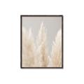 Picture of Creamy Petal Pampas II _GroupedProduct_Rectangle_Portrait_Photography _GroupedProduct_Rectangle_Portrait_Canvas_Framed_