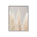 Picture of Creamy Petal Pampas II _GroupedProduct_Rectangle_Portrait_Photography _GroupedProduct_Rectangle_Portrait_Canvas_Framed_
