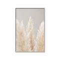 Picture of Creamy Petal Pampas II _GroupedProduct_Rectangle_Portrait_Photography _GroupedProduct_Rectangle_Portrait_Canvas_Framed_