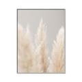 Picture of Creamy Petal Pampas II _GroupedProduct_Rectangle_Portrait_Photography _GroupedProduct_Rectangle_Portrait_Canvas_Framed_