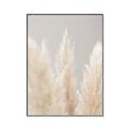 Picture of Creamy Petal Pampas II _GroupedProduct_Rectangle_Portrait_Photography _GroupedProduct_Rectangle_Portrait_Canvas_Framed_