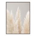Picture of Creamy Petal Pampas II _GroupedProduct_Rectangle_Portrait_Photography _GroupedProduct_Rectangle_Portrait_Canvas_Framed_