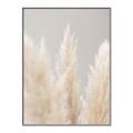 Picture of Creamy Petal Pampas II _GroupedProduct_Rectangle_Portrait_Photography _GroupedProduct_Rectangle_Portrait_Canvas_Framed_