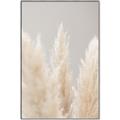 Picture of Creamy Petal Pampas II _GroupedProduct_Rectangle_Portrait_Photography _GroupedProduct_Rectangle_Portrait_Canvas_Framed_