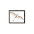 Picture of Serenade Flight _GroupedProduct_Rectangle_Landscape_Photography _GroupedProduct_Rectangle_Landscape_Canvas_Framed_
