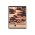 Picture of Tranquil Walk in the Valley _GroupedProduct_Rectangle_Portrait_Photography _GroupedProduct_Rectangle_Portrait_Canvas_Framed_