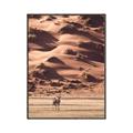 Picture of Tranquil Walk in the Valley _GroupedProduct_Rectangle_Portrait_Photography _GroupedProduct_Rectangle_Portrait_Canvas_Framed_