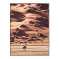 Picture of Tranquil Walk in the Valley _GroupedProduct_Rectangle_Portrait_Photography _GroupedProduct_Rectangle_Portrait_Canvas_Framed_