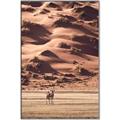 Picture of Tranquil Walk in the Valley _GroupedProduct_Rectangle_Portrait_Photography _GroupedProduct_Rectangle_Portrait_Canvas_Framed_