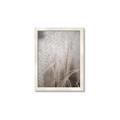 Picture of Elysian Grass _GroupedProduct_Rectangle_Portrait_Photography _GroupedProduct_Rectangle_Portrait_Framed_Matted_