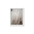 Picture of Elysian Grass _GroupedProduct_Rectangle_Portrait_Photography _GroupedProduct_Rectangle_Portrait_Framed_Matted_