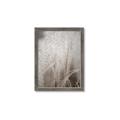 Picture of Elysian Grass _GroupedProduct_Rectangle_Portrait_Photography _GroupedProduct_Rectangle_Portrait_Framed_Matted_