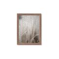 Picture of Elysian Grass _GroupedProduct_Rectangle_Portrait_Photography _GroupedProduct_Rectangle_Portrait_Framed_Matted_