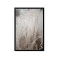 Picture of Elysian Grass _GroupedProduct_Rectangle_Portrait_Photography _GroupedProduct_Rectangle_Portrait_Framed_Matted_
