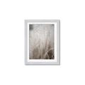 Picture of Elysian Grass _GroupedProduct_Rectangle_Portrait_Photography _GroupedProduct_Rectangle_Portrait_Framed_Matted_