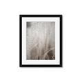 Picture of Elysian Grass _GroupedProduct_Rectangle_Portrait_Photography _GroupedProduct_Rectangle_Portrait_Framed_Matted_