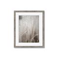 Picture of Elysian Grass _GroupedProduct_Rectangle_Portrait_Photography _GroupedProduct_Rectangle_Portrait_Framed_Matted_