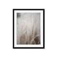 Picture of Elysian Grass _GroupedProduct_Rectangle_Portrait_Photography _GroupedProduct_Rectangle_Portrait_Framed_Matted_