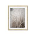Picture of Elysian Grass _GroupedProduct_Rectangle_Portrait_Photography _GroupedProduct_Rectangle_Portrait_Framed_Matted_