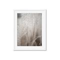 Picture of Elysian Grass _GroupedProduct_Rectangle_Portrait_Photography _GroupedProduct_Rectangle_Portrait_Framed_Matted_