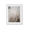 Picture of Elysian Grass _GroupedProduct_Rectangle_Portrait_Photography _GroupedProduct_Rectangle_Portrait_Framed_Matted_