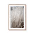 Picture of Elysian Grass _GroupedProduct_Rectangle_Portrait_Photography _GroupedProduct_Rectangle_Portrait_Framed_Matted_