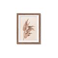 Picture of Dried Eucalyptus Blossom _GroupedProduct_Rectangle_Portrait_Photography _GroupedProduct_Rectangle_Portrait_Framed_Matted_