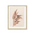 Picture of Dried Eucalyptus Blossom _GroupedProduct_Rectangle_Portrait_Photography _GroupedProduct_Rectangle_Portrait_Framed_Matted_