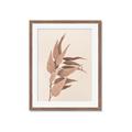 Picture of Dried Eucalyptus Blossom _GroupedProduct_Rectangle_Portrait_Photography _GroupedProduct_Rectangle_Portrait_Framed_Matted_