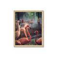 Picture of Flamingo _GroupedProduct_Rectangle_Portrait_Photography _GroupedProduct_Rectangle_Portrait_Framed_Matted_