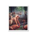 Picture of Flamingo _GroupedProduct_Rectangle_Portrait_Photography _GroupedProduct_Rectangle_Portrait_Framed_Matted_