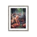 Picture of Flamingo _GroupedProduct_Rectangle_Portrait_Photography _GroupedProduct_Rectangle_Portrait_Framed_Matted_