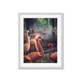 Picture of Flamingo _GroupedProduct_Rectangle_Portrait_Photography _GroupedProduct_Rectangle_Portrait_Framed_Matted_