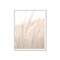 Picture of Rhapsody of Grass Blades _GroupedProduct_Rectangle_Portrait_Photography _GroupedProduct_Rectangle_Portrait_Framed_Matted_