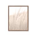 Picture of Rhapsody of Grass Blades _GroupedProduct_Rectangle_Portrait_Photography _GroupedProduct_Rectangle_Portrait_Framed_Matted_