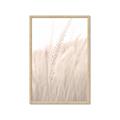 Picture of Rhapsody of Grass Blades _GroupedProduct_Rectangle_Portrait_Photography _GroupedProduct_Rectangle_Portrait_Framed_Matted_